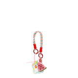 WATERMELON SMILE MIRROR CHARM